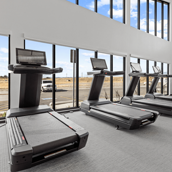 Treadmills in gym